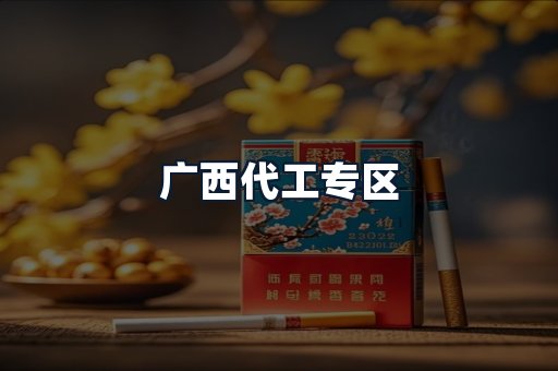 广西代工专区